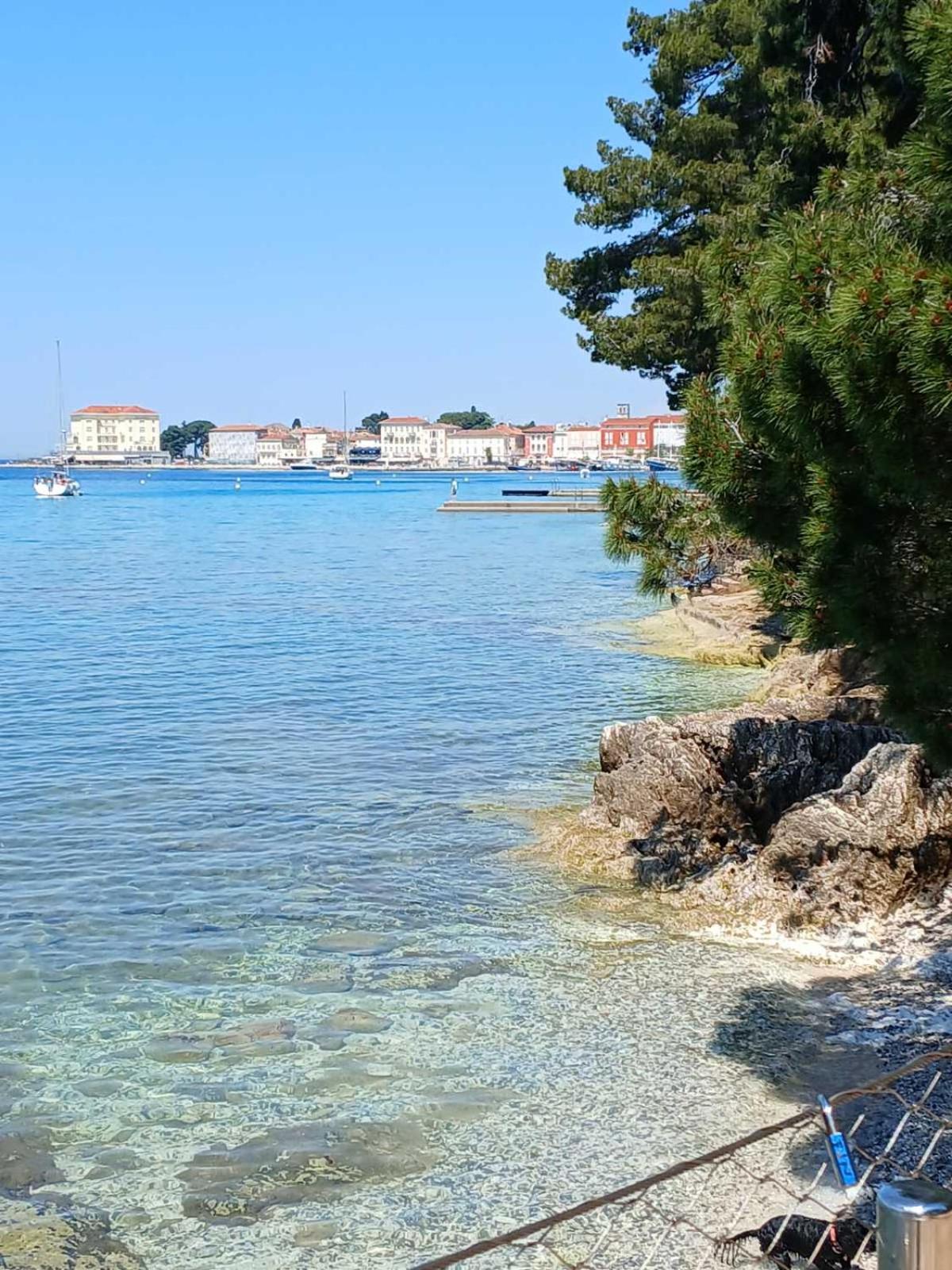 Maestral Porec